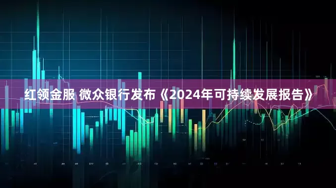 红领金服 微众银行发布《2024年可持续发展报告》