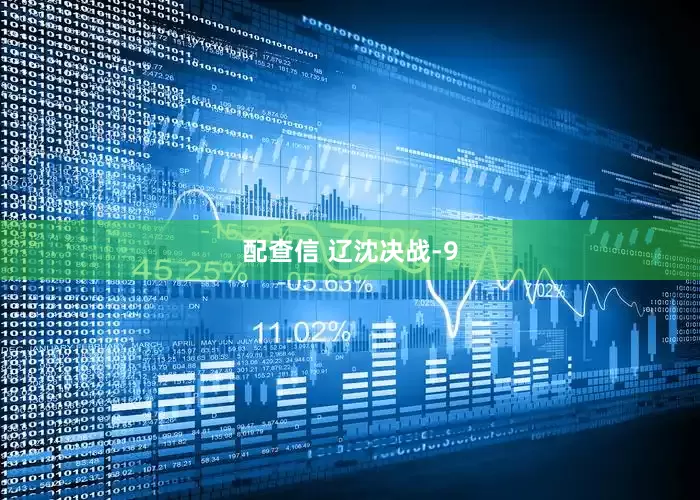 配查信 辽沈决战-9