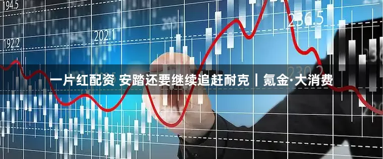 一片红配资 安踏还要继续追赶耐克｜氪金·大消费