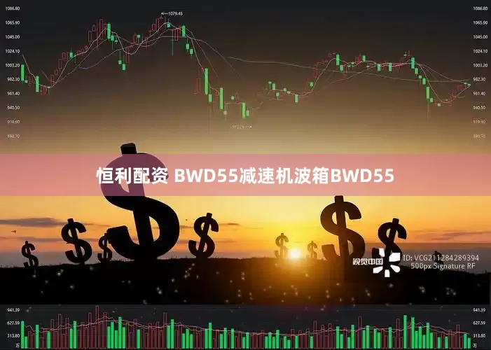 恒利配资 BWD55减速机波箱BWD55