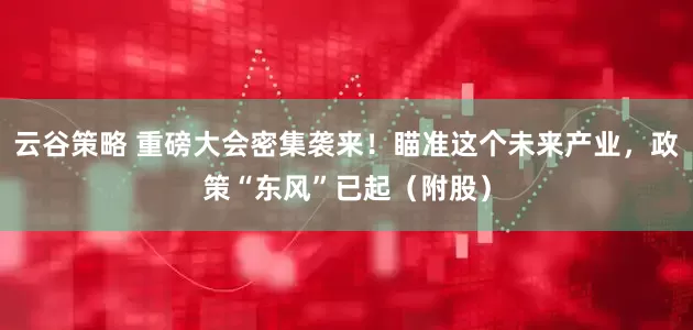 云谷策略 重磅大会密集袭来！瞄准这个未来产业，政策“东风”已起（附股）